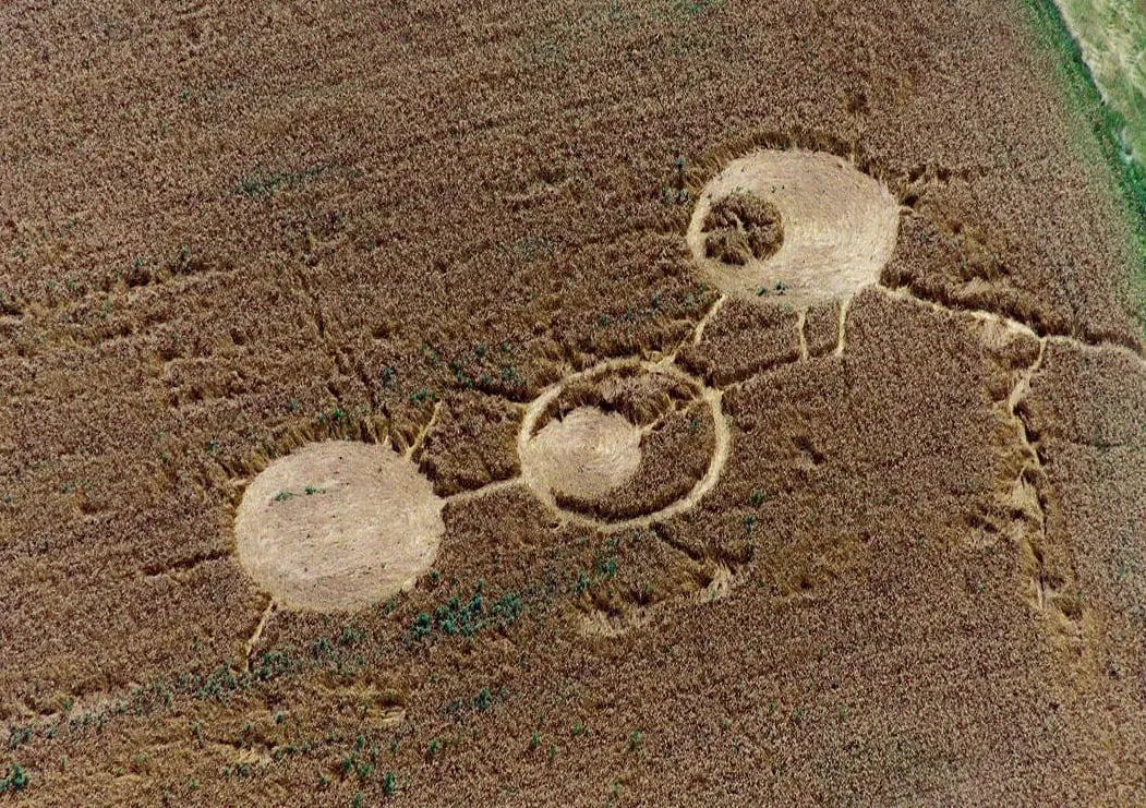 Veduta aerea di tre cerchi schiacciati nel grano, uniti da brevi tracce