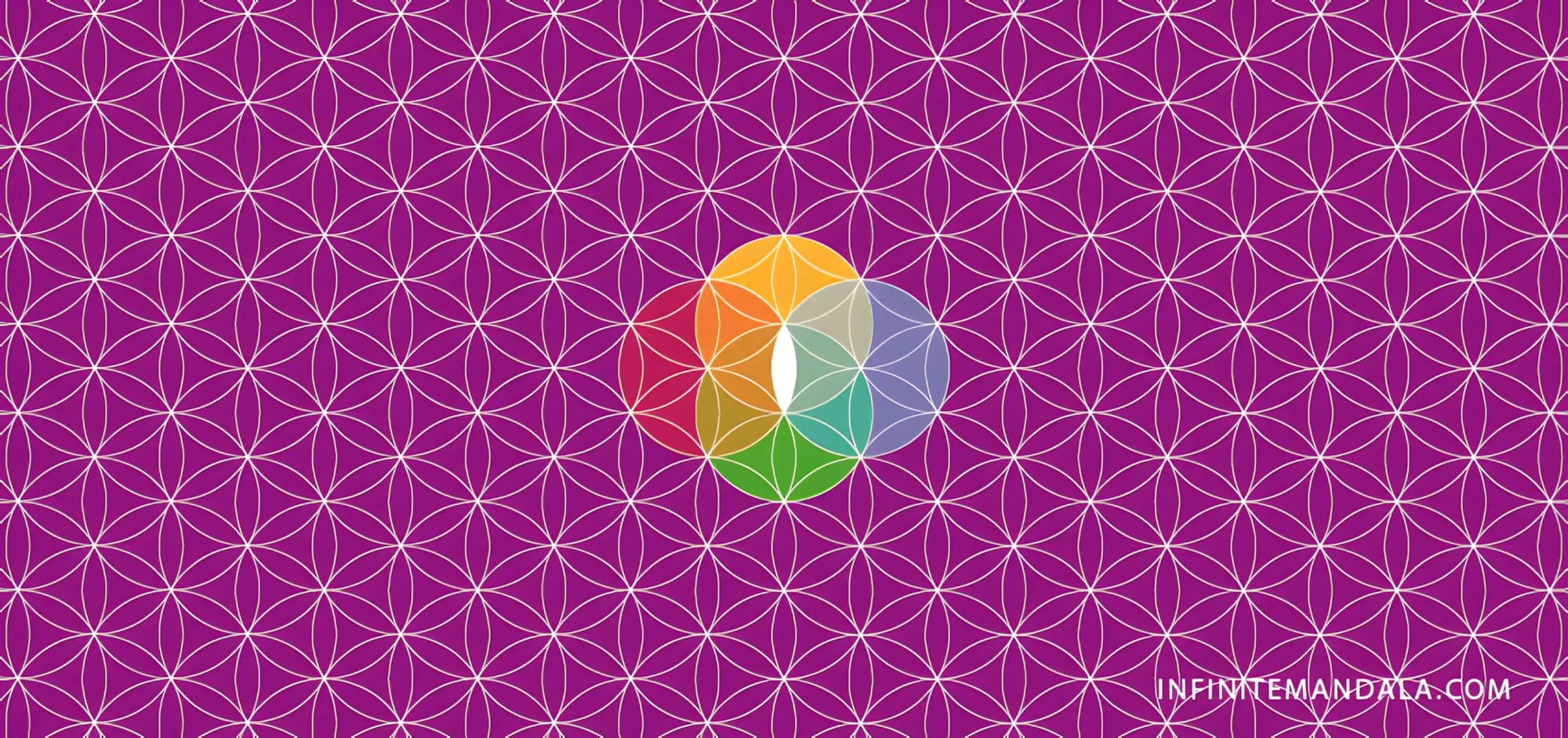 Schema geometrico del fiore della vita, con cerchi sovrapposti su sfondo viola e al centro alcuni cerchi colorati, con la scritta infinitemandala.com