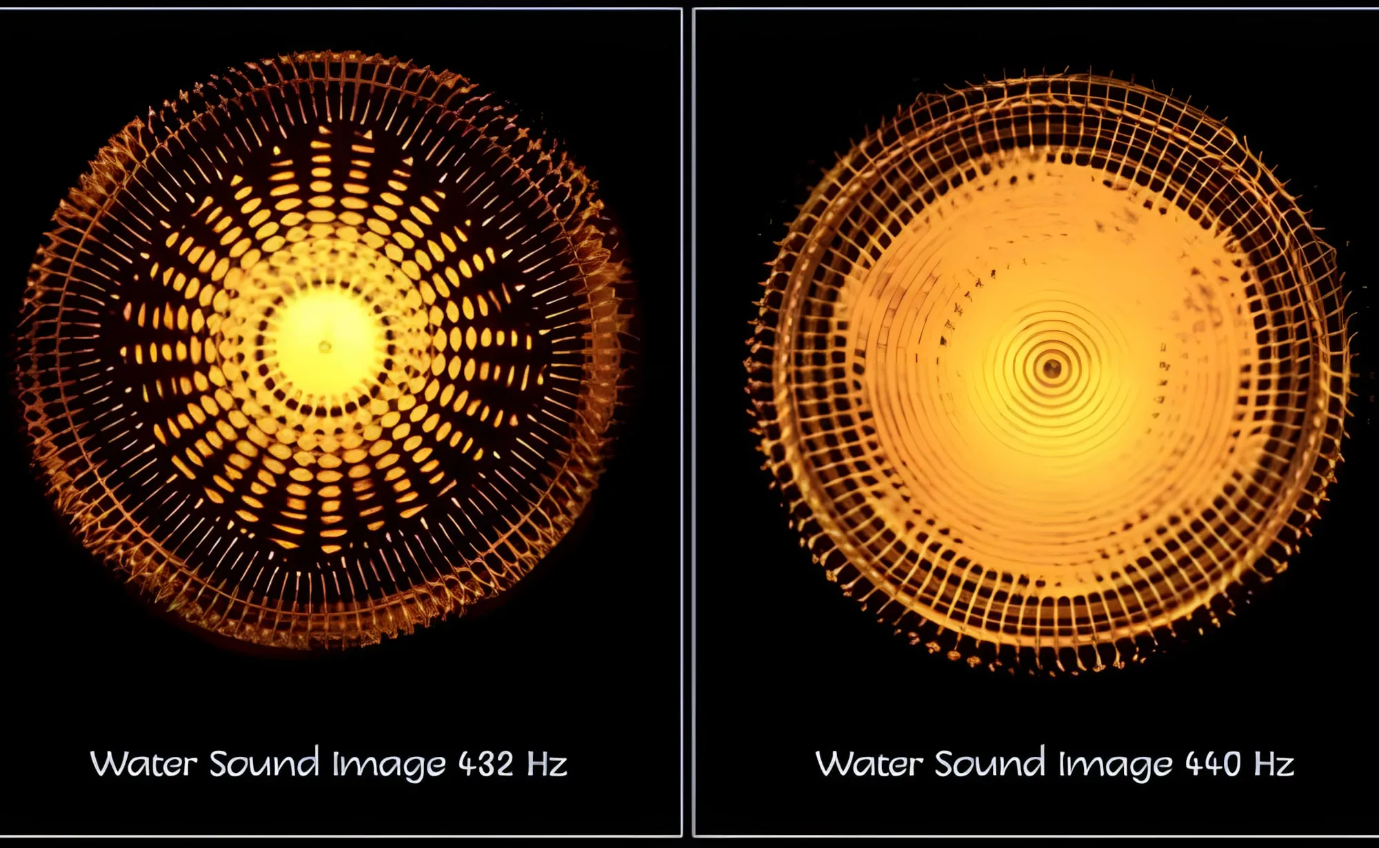 Due immagini del suono nell'acqua a confronto: a 432 Hz una figura a mandala nitida e ordinata, a 440 Hz un disegno più confuso
