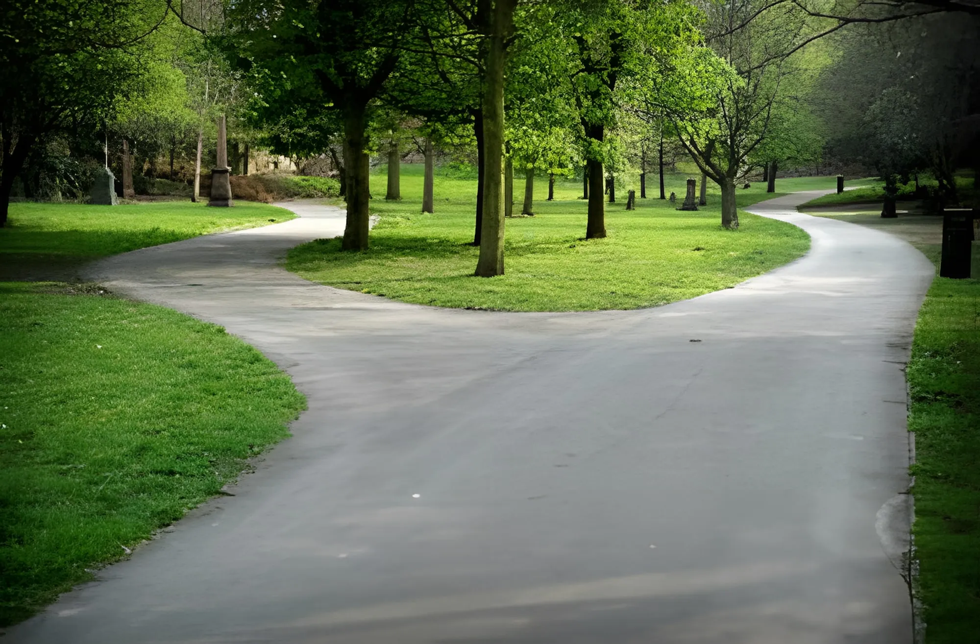 Sentiero asfaltato in un parco che si divide in due direzioni tra prati verdi e alberi