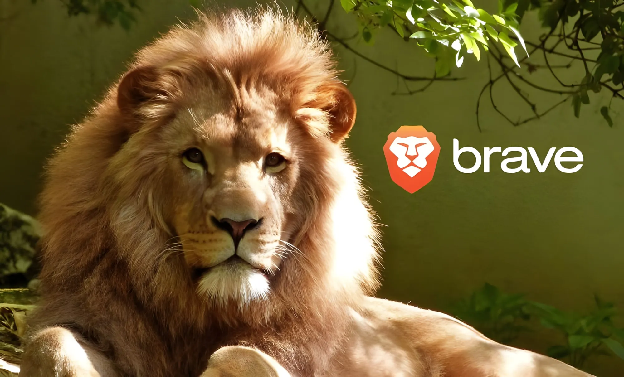 Leone dalla folta criniera che guarda davanti a sé, accanto al logo del browser Brave