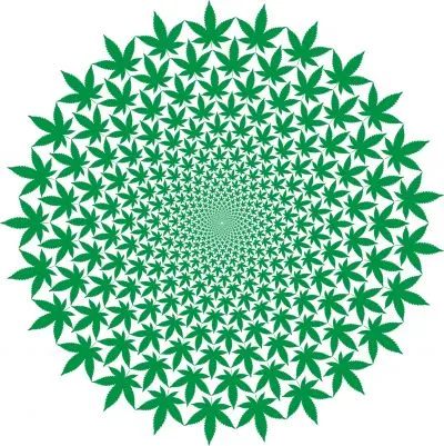cannabis 3176749