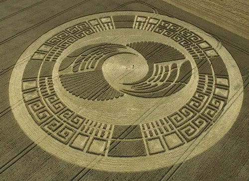 Veduta aerea di un cerchio nel grano con greche lungo il bordo e al centro un disegno di ali a spirale