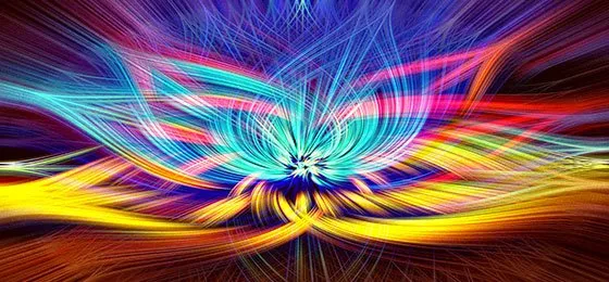 Un fiore di luce nei colori dei sette chakra