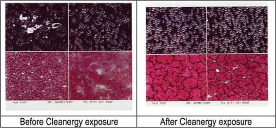 cleanergy sangue