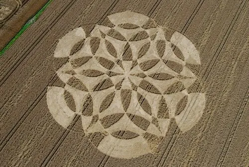 Veduta aerea di un cerchio nel grano con un disegno di petali intrecciati simile al fiore della vita