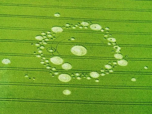 Veduta aerea di un grande anello di piccoli cerchi nel grano verde, con un cerchio più grande al centro