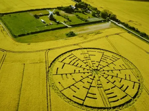 Veduta aerea di un cerchio nel grano a forma di ruota con raggi, in un campo di colza vicino a un mulino