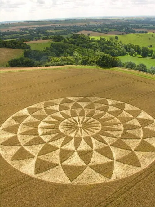 Cerchio nel grano ripreso dall’alto, a forma di grande fiore geometrico simmetrico nel grano