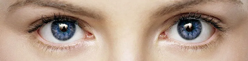 eyes