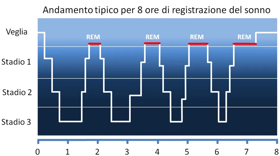 fasi del sonno
