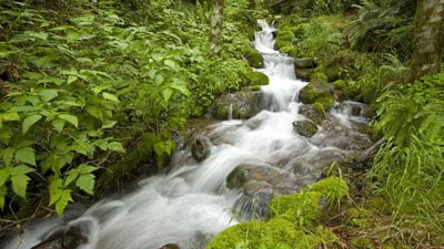 fiume