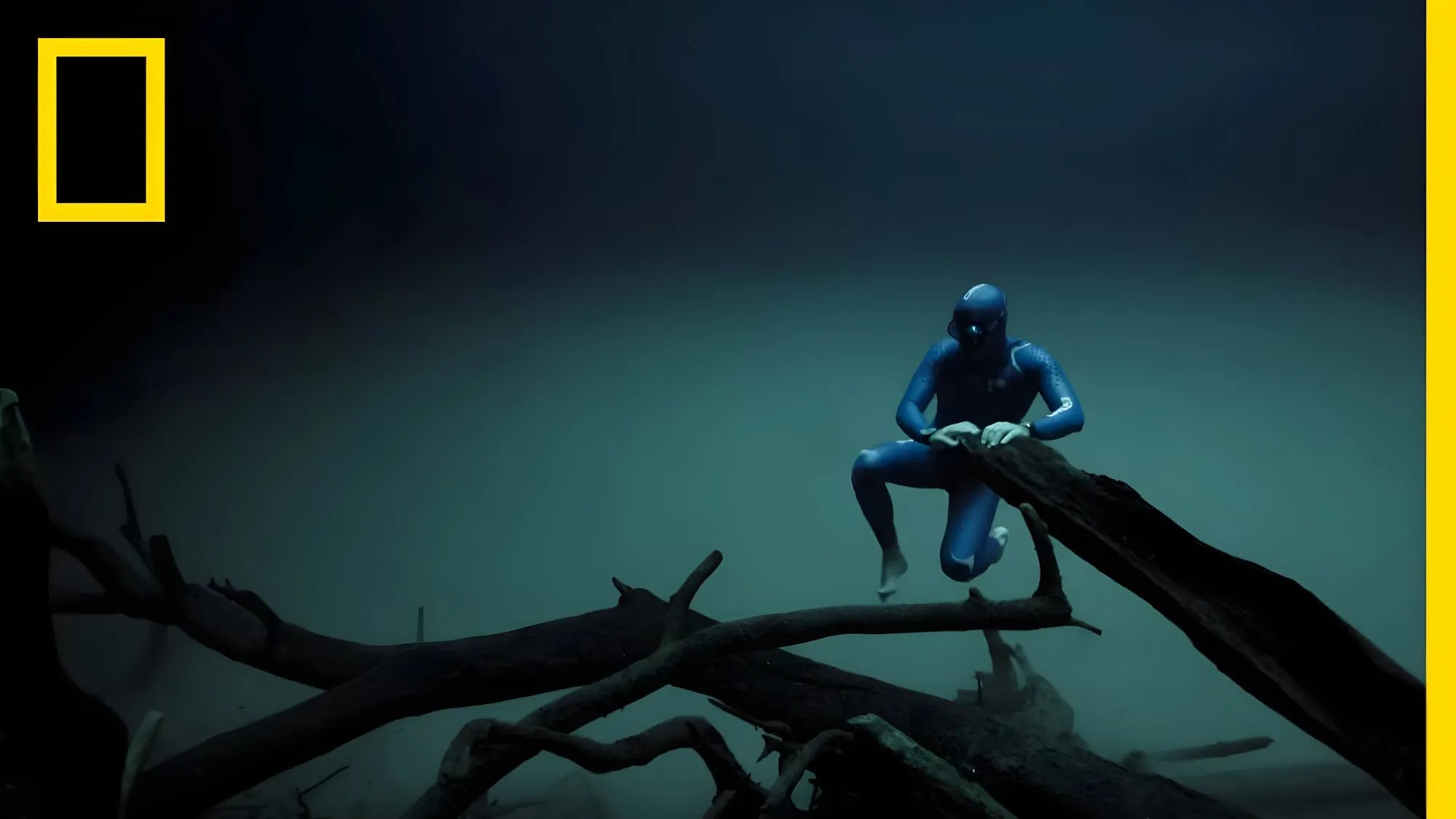 Apneista in muta blu appoggiato a un tronco sommerso in acque scure, con il logo di National Geographic in alto a sinistra