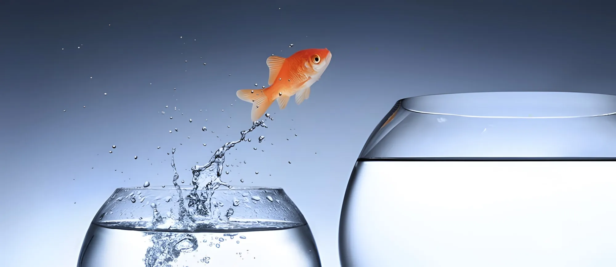 Pesce rosso che salta fuori da una piccola boccia d’acqua verso una boccia molto più grande