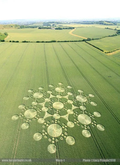 Veduta aerea di un complesso cerchio nel grano, fatto di cerchi grandi e piccoli uniti da linee