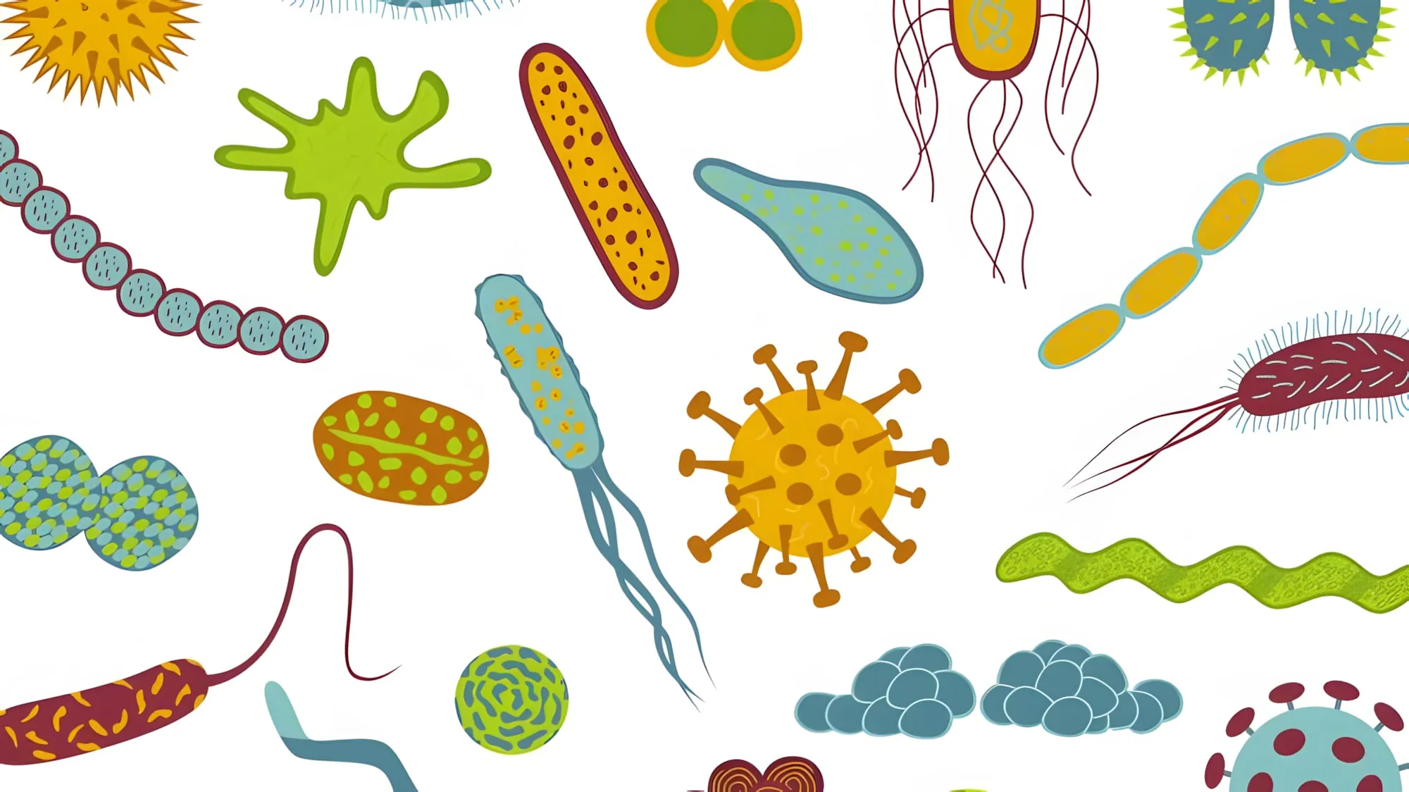 Disegni colorati di microrganismi: batteri, virus e cellule di forme e colori diversi