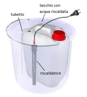 microrganismi tanica