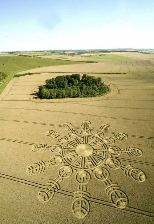 Cerchio nel grano ripreso dall’alto, con una ruota di motivi simmetrici attorno a un centro, vicino a un boschetto