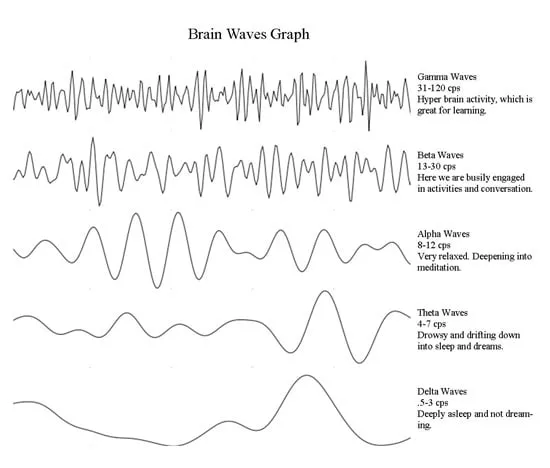 onde cerebrali grafico