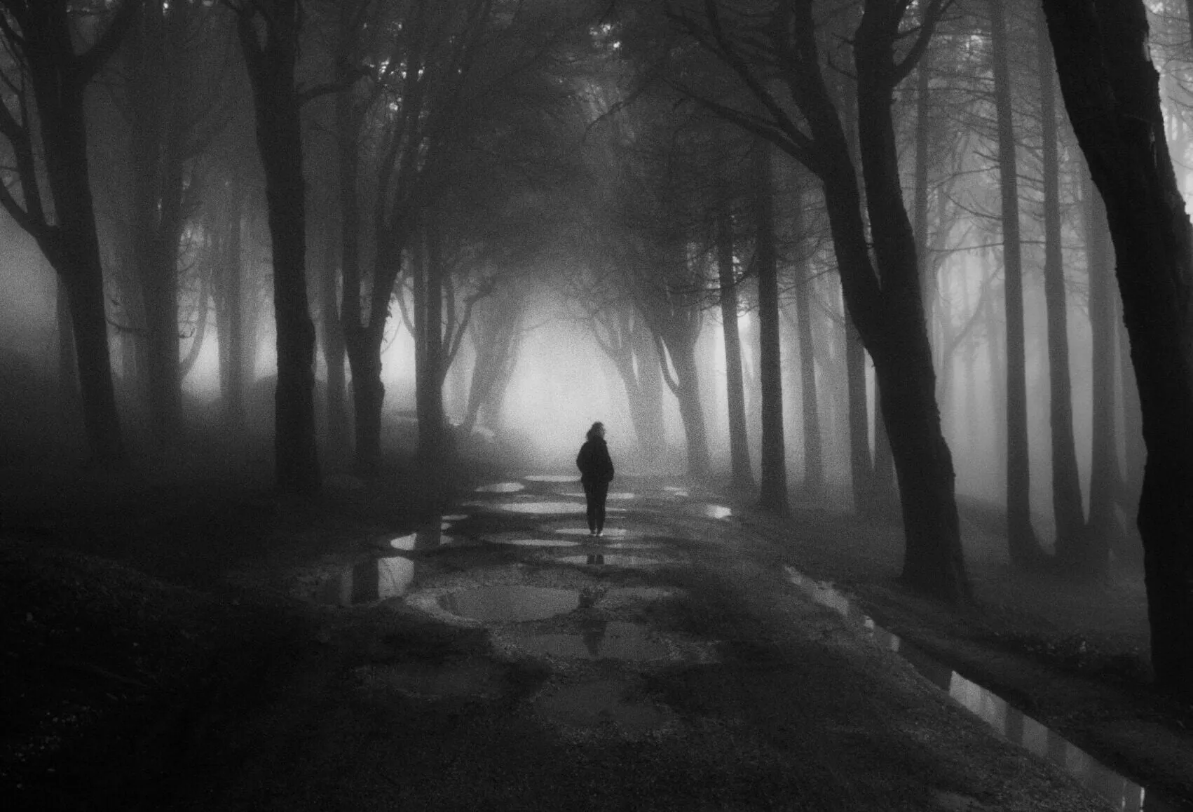 Figura in controluce che cammina su un sentiero bagnato in un bosco avvolto dalla nebbia, in bianco e nero