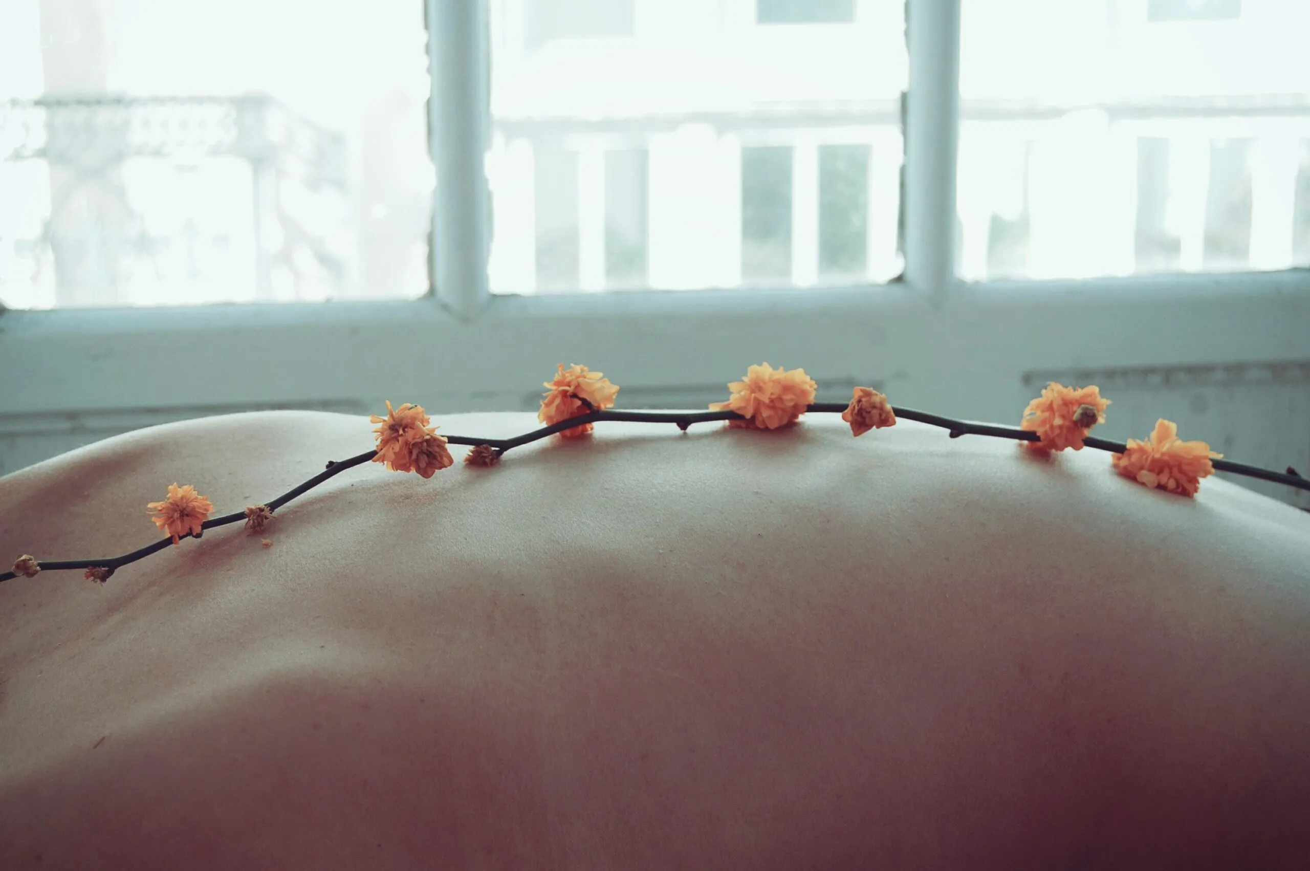 Fiori arancioni su un ramo sottile appoggiato sulla schiena nuda di una persona, davanti a una finestra