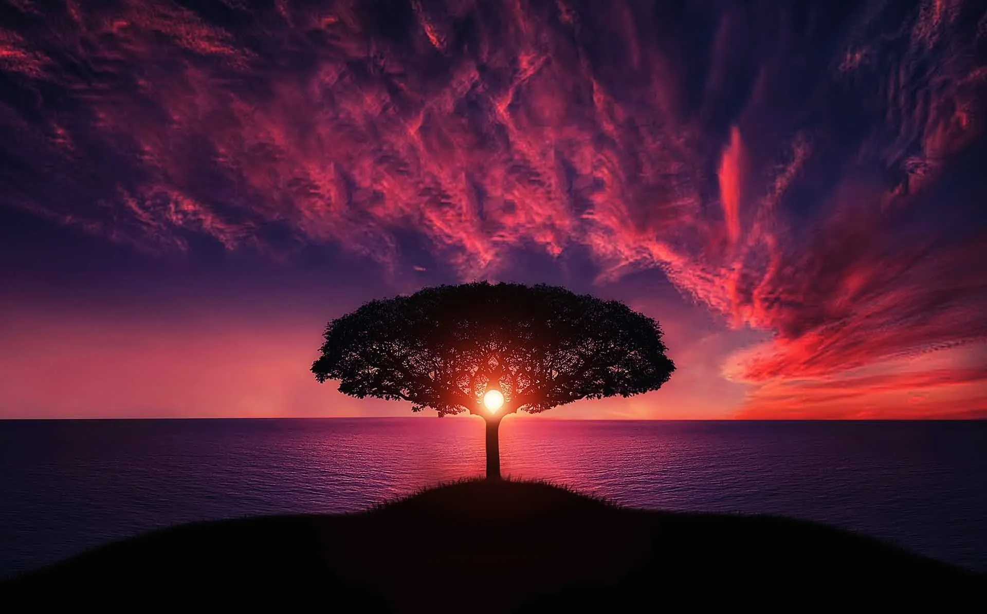 Albero solitario su una collina davanti al mare, con il sole che tramonta tra i rami e nuvole rosso fuoco