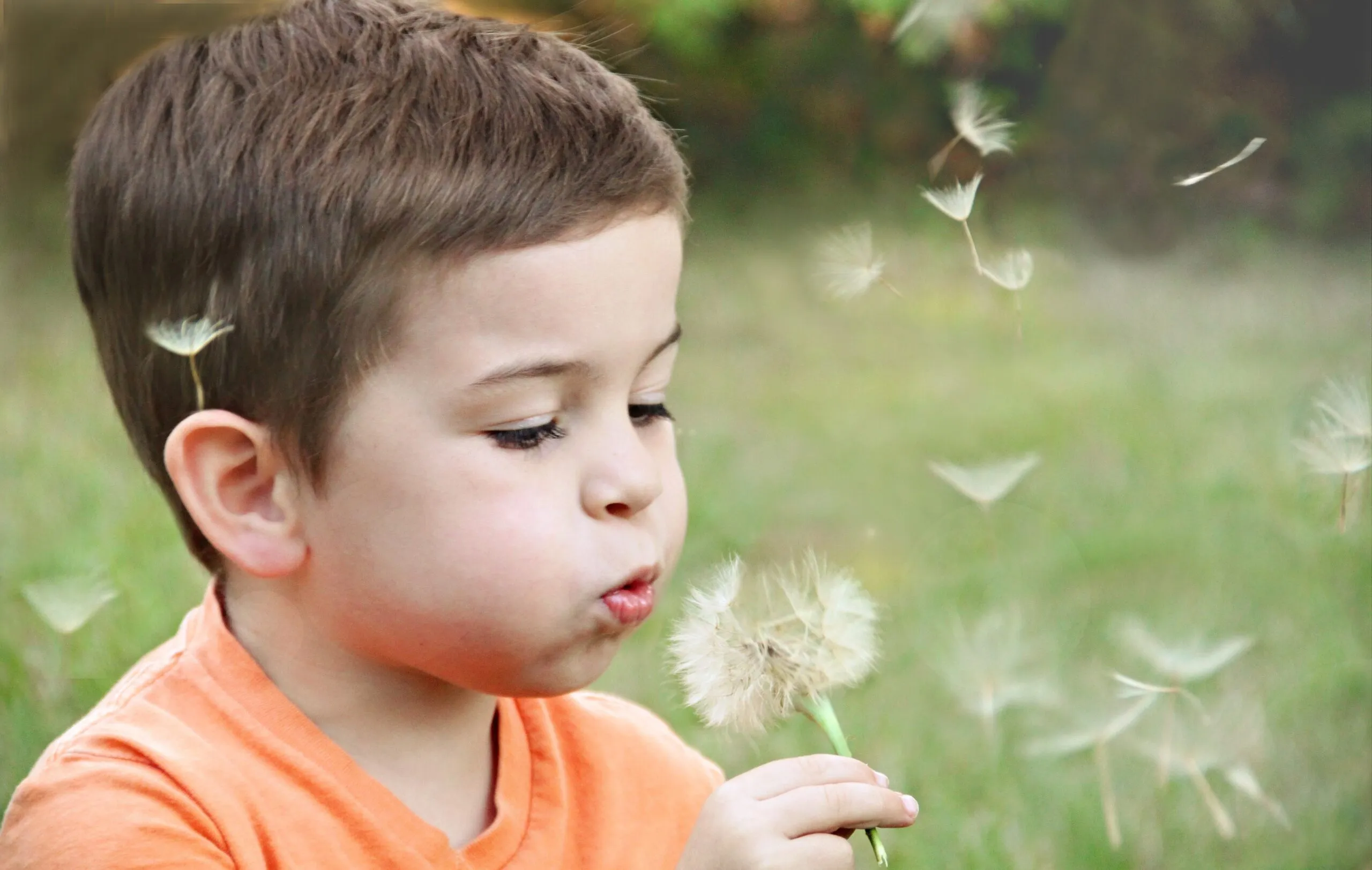 Bambino con una maglietta arancione che soffia su un soffione, mentre i semi volano nell’aria