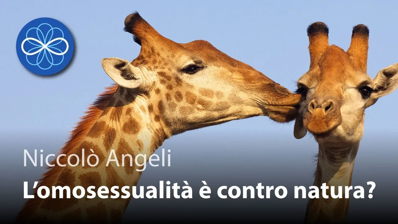 Guarda il video su YouTube